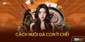 10 Nguyên Tắc Vàng Trong Cách Nuôi Gà Con Ít Chết