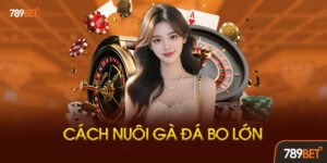 9 Phương Pháp Dinh Dưỡng Nuôi Gà Đá Bo Lớn