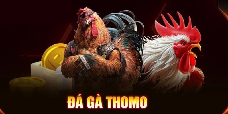 Chiến Lược Chơi Đá Gà Thomo 789bet Thông Minh