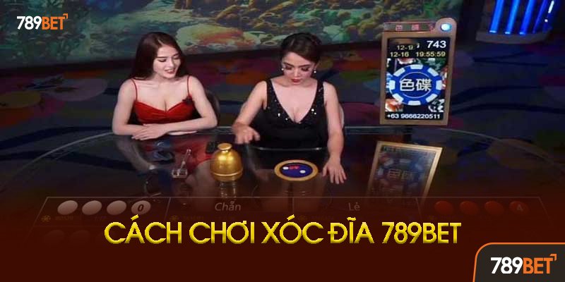 Hướng Dẫn Chơi Xóc Đĩa 789bet Chi Tiết